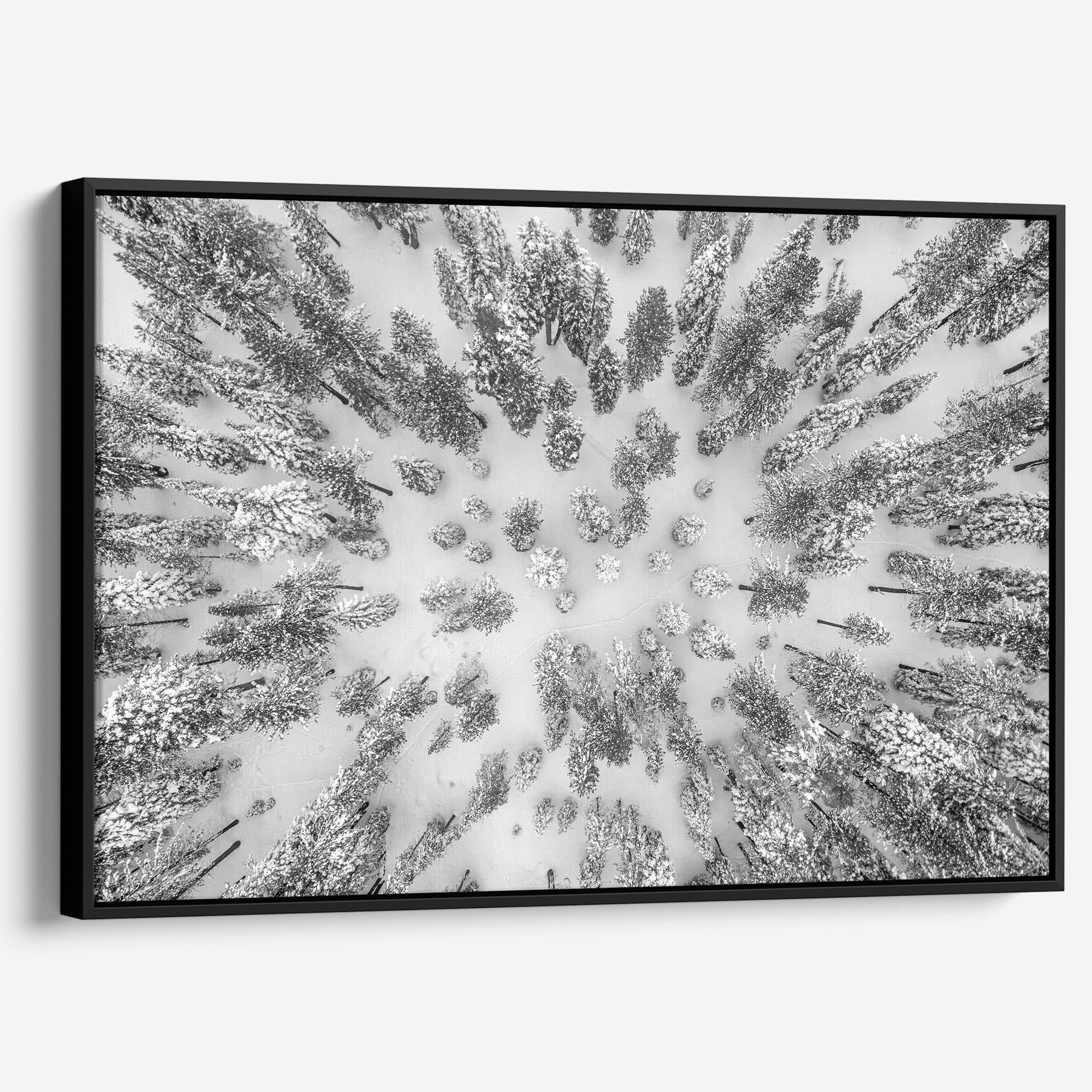 A breathtaking aerial fine art print of Tahoe National Forest blanketed in snow, captured with drone photography.