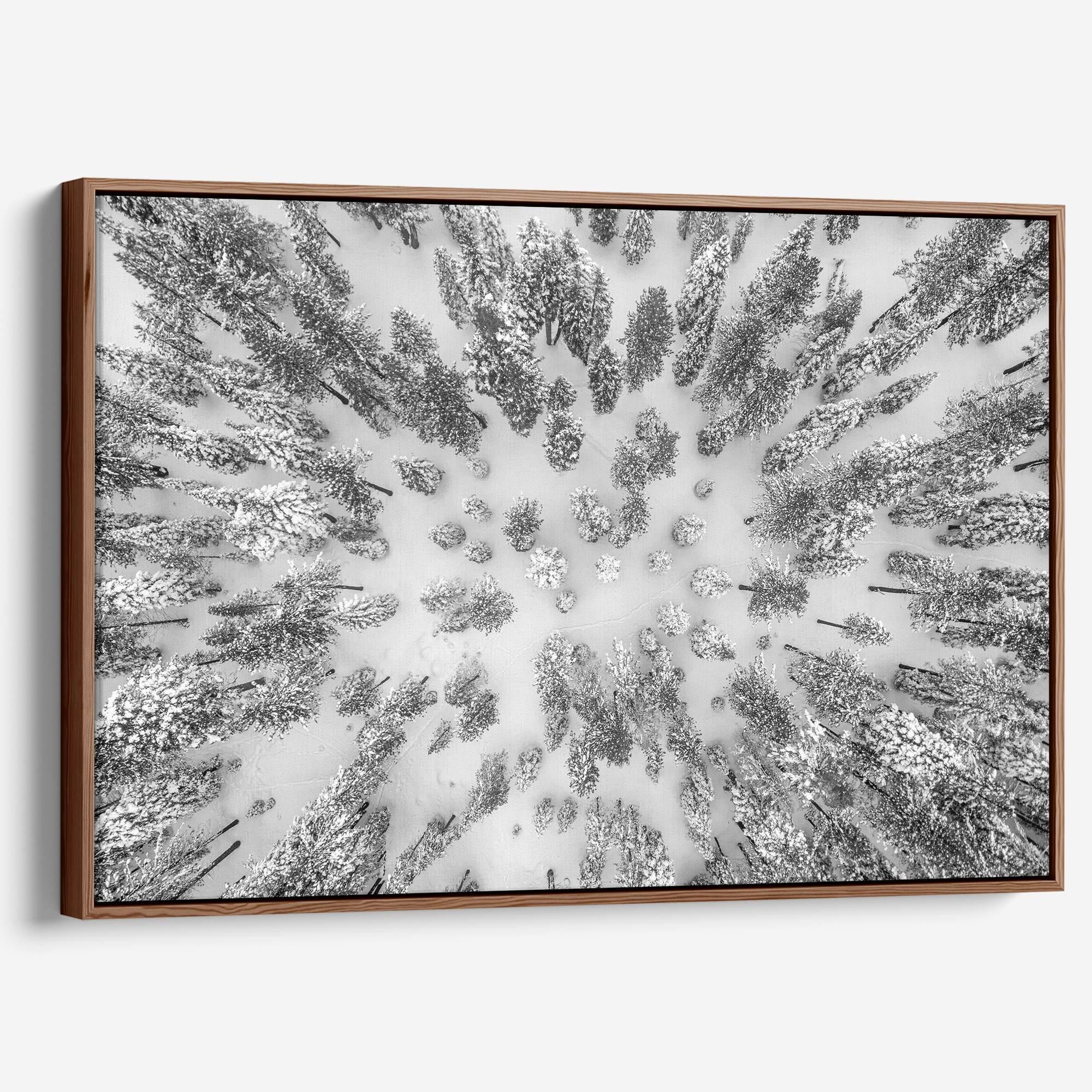 A breathtaking aerial fine art print of Tahoe National Forest blanketed in snow, captured with drone photography.