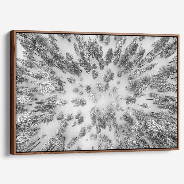 A breathtaking aerial fine art print of Tahoe National Forest blanketed in snow, captured with drone photography.