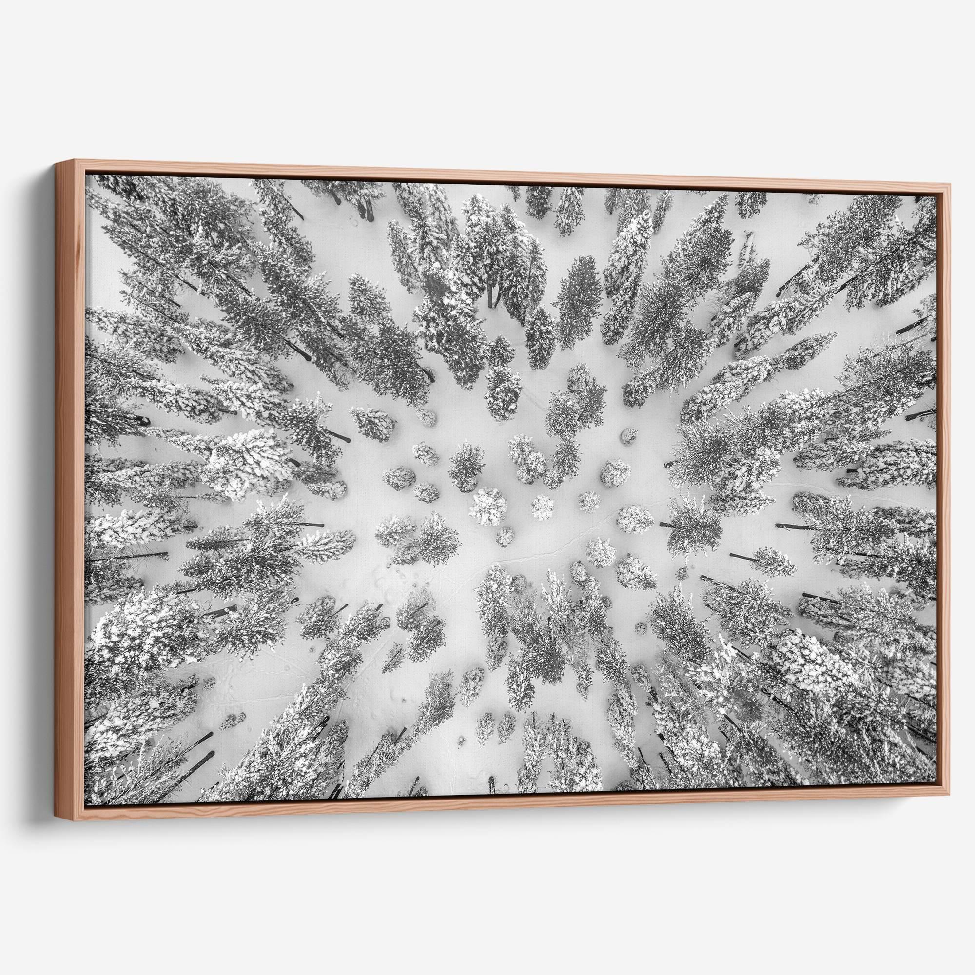 A breathtaking aerial fine art print of Tahoe National Forest blanketed in snow, captured with drone photography.