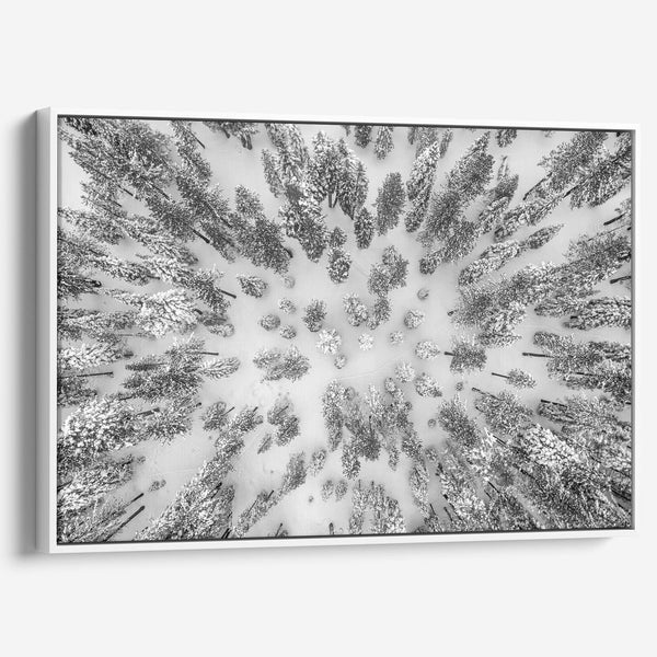 A breathtaking aerial fine art print of Tahoe National Forest blanketed in snow, captured with drone photography.
