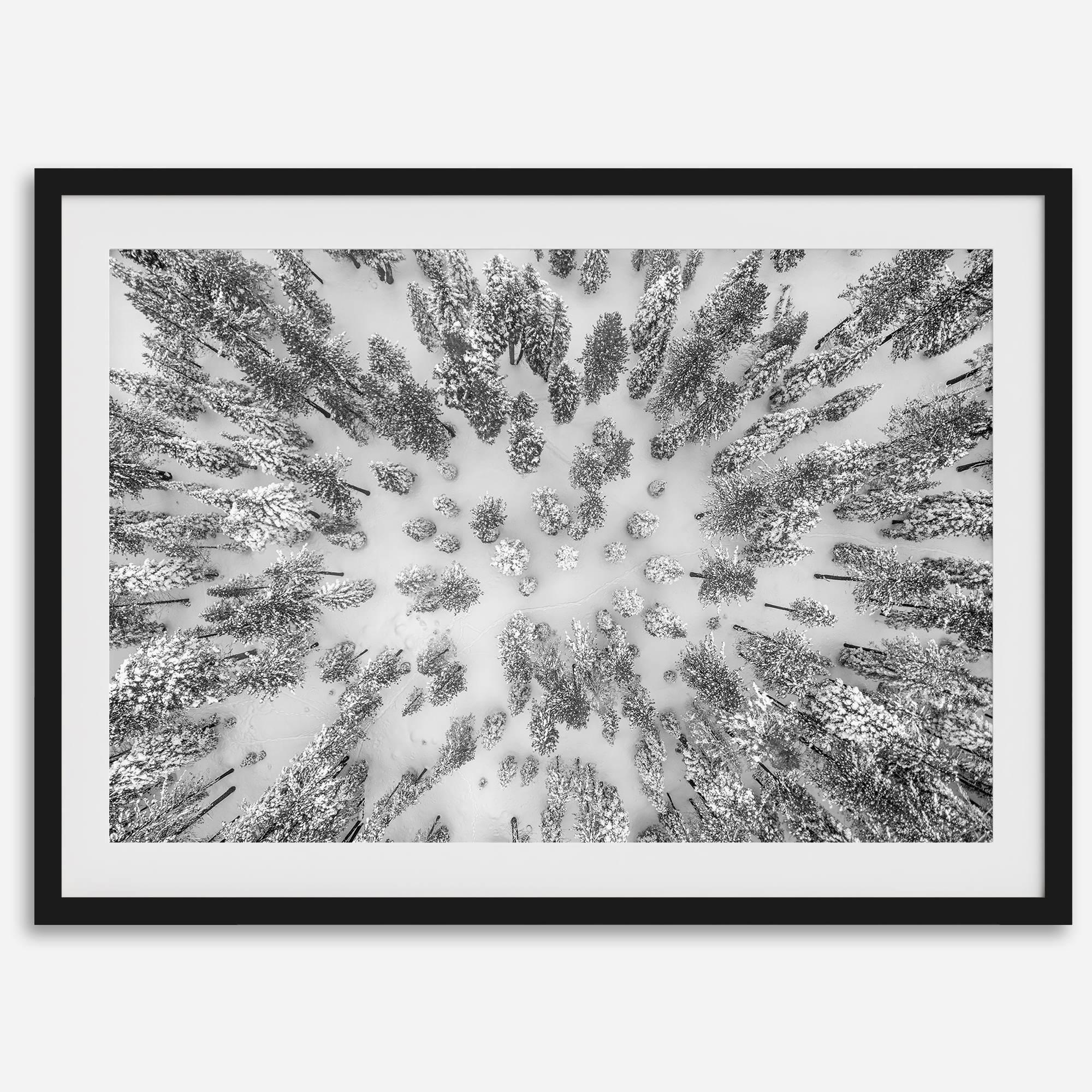 Snowy forest wall art with aerial photography of snow-covered trees in winter.