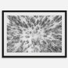 Snowy forest wall art with aerial photography of snow-covered trees in winter.