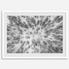 Snowy forest wall art with aerial photography of snow-covered trees in winter.