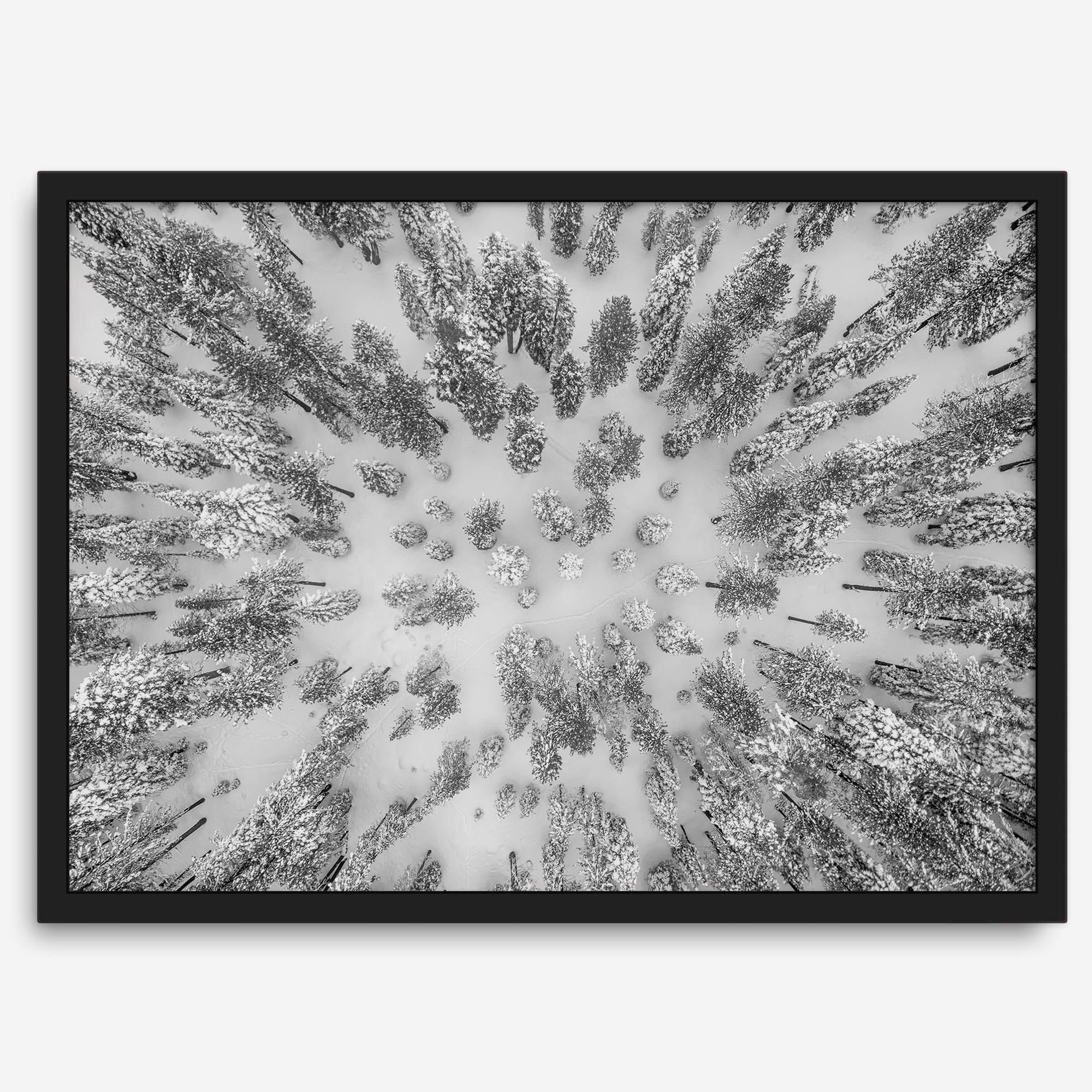 Snowy forest wall art with aerial photography of snow-covered trees in winter.