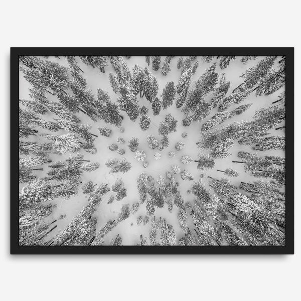 Snowy forest wall art with aerial photography of snow-covered trees in winter.