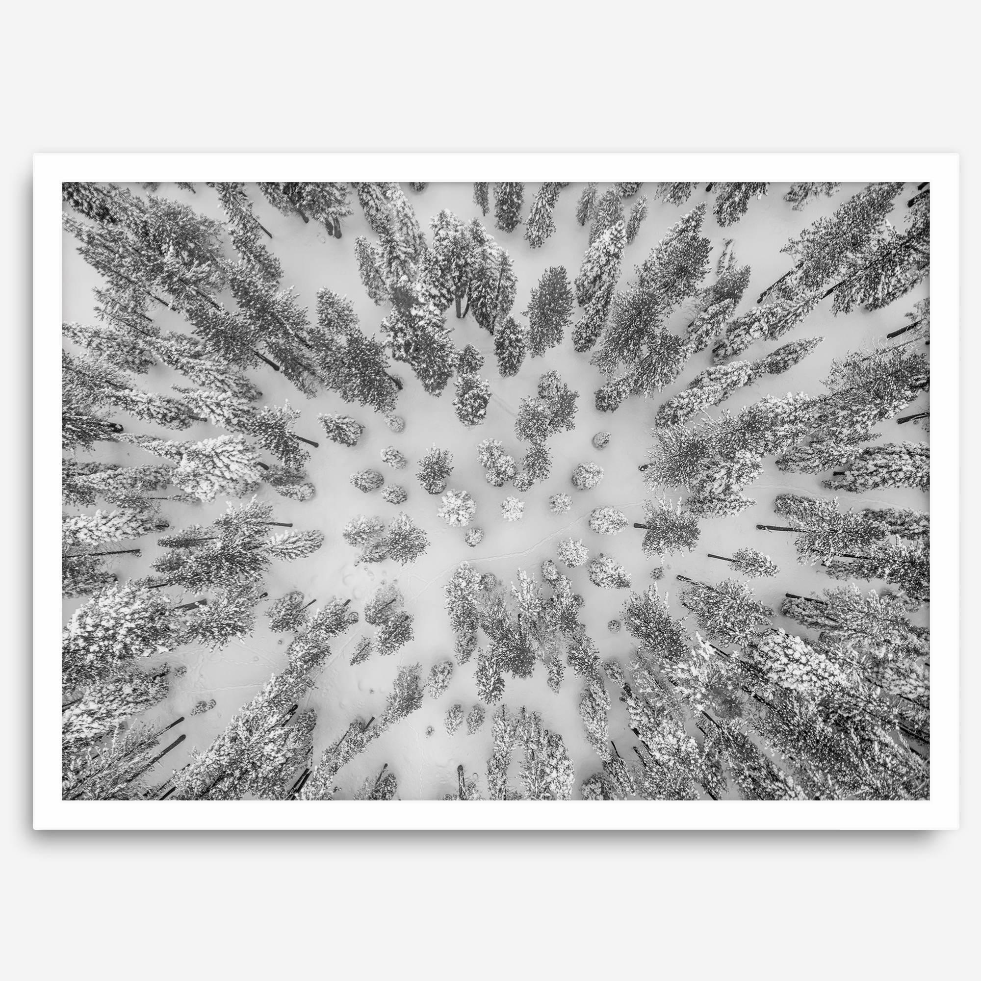 Snowy forest wall art with aerial photography of snow-covered trees in winter.