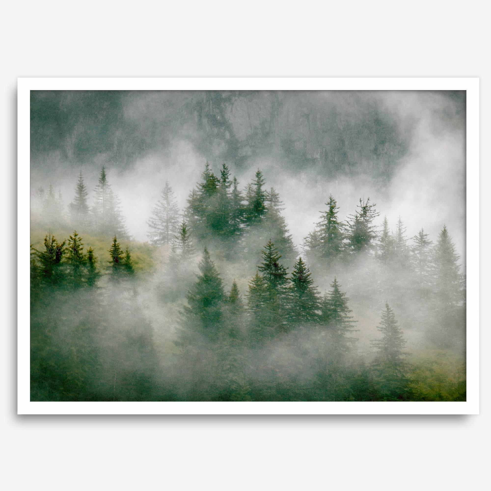 Fine art photography of a misty forest in Alaska, with the tops of trees on a mountain shrouded in white dreamlike fog.