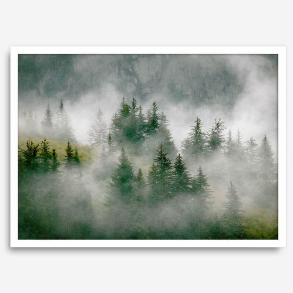 Fine art photography of a misty forest in Alaska, with the tops of trees on a mountain shrouded in white dreamlike fog.