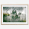 Fine art photography of a misty forest in Alaska, with the tops of trees on a mountain shrouded in white dreamlike fog.