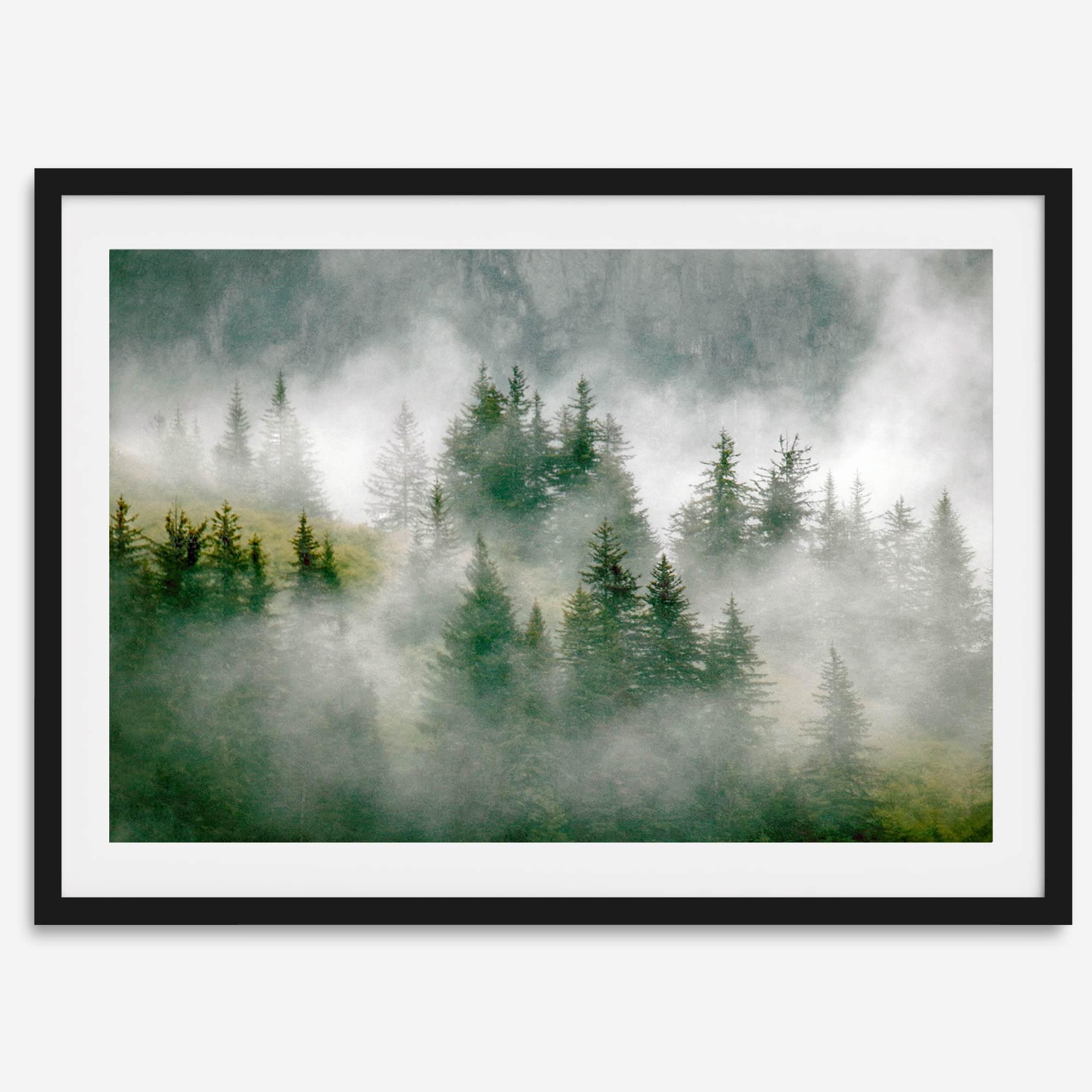 Fine art photography of a misty forest in Alaska, with the tops of trees on a mountain shrouded in white dreamlike fog.
