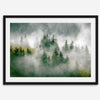 Fine art photography of a misty forest in Alaska, with the tops of trees on a mountain shrouded in white dreamlike fog.