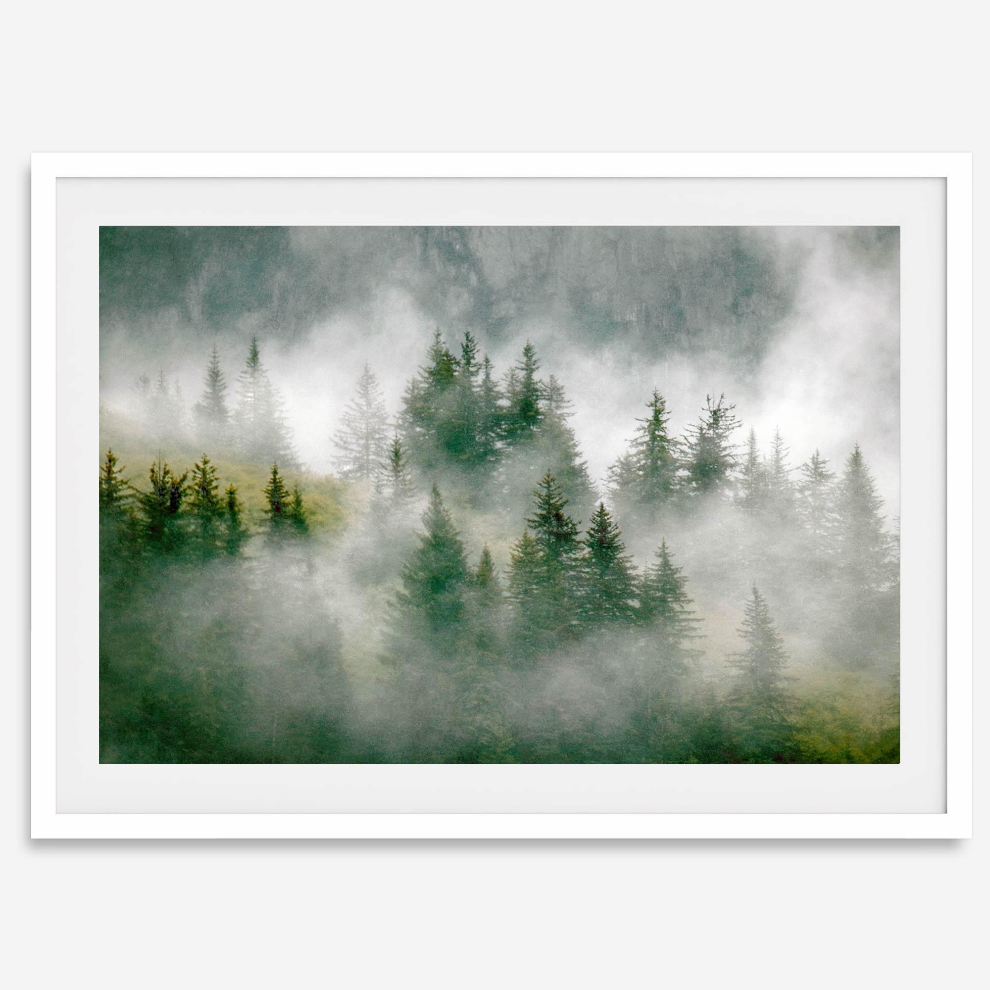 Fine art photography of a misty forest in Alaska, with the tops of trees on a mountain shrouded in white dreamlike fog.