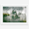 Fine art photography of a misty forest in Alaska, with the tops of trees on a mountain shrouded in white dreamlike fog.