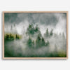 Fine art photography of a misty forest in Alaska, with the tops of trees on a mountain shrouded in white dreamlike fog.