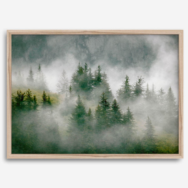 Fine art photography of a misty forest in Alaska, with the tops of trees on a mountain shrouded in white dreamlike fog.