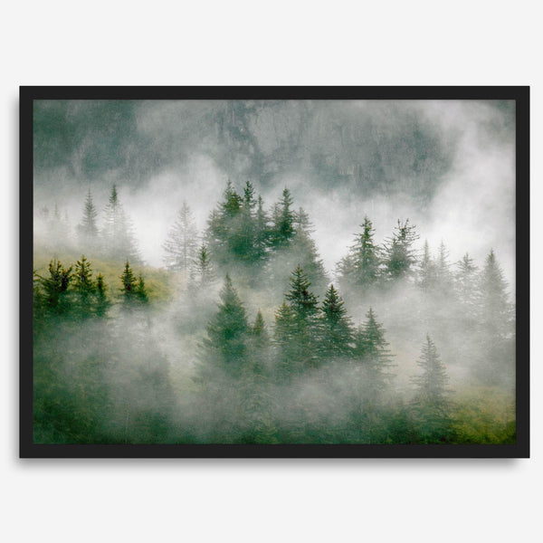 Fine art photography of a misty forest in Alaska, with the tops of trees on a mountain shrouded in white dreamlike fog.