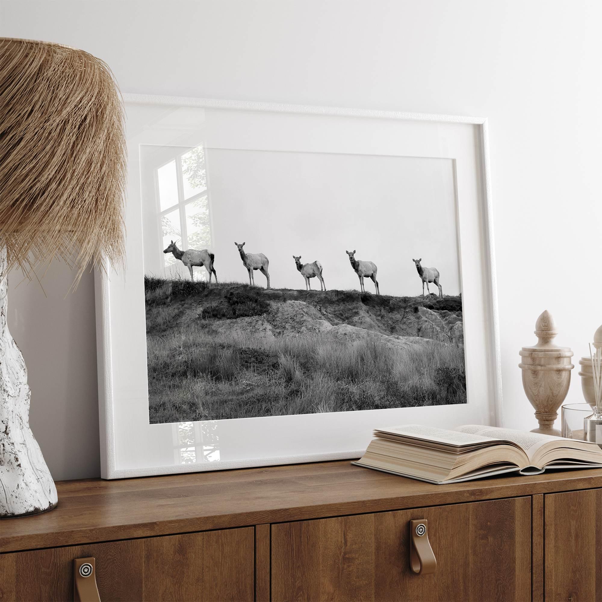 A black and white framed or unframed nature fine art photography print showing a family of coastal elks walking in a line on a ridge in Point Reyes, California. The composition forms a minimalist aesthetic print that will be a conversation starter.