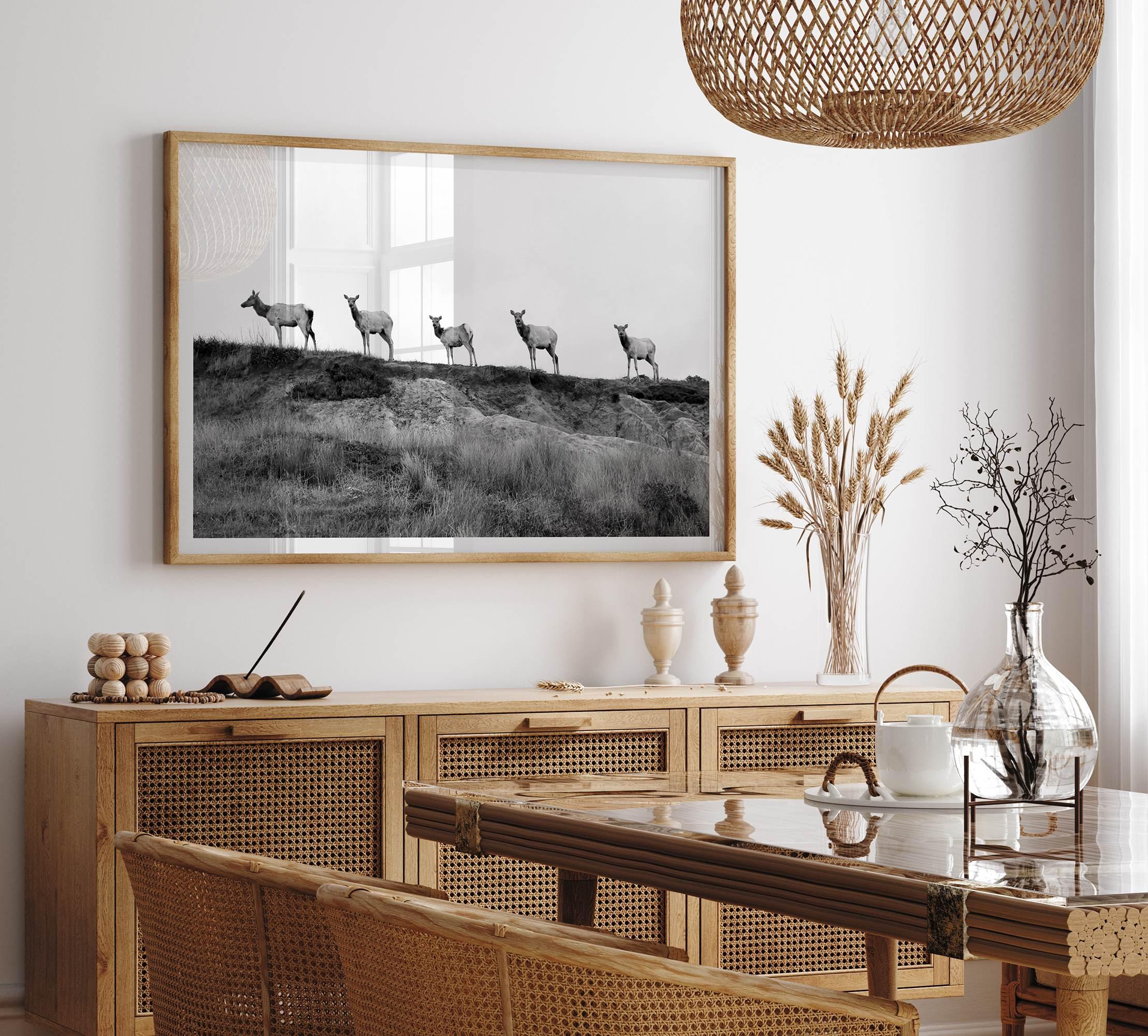 A black and white framed or unframed nature fine art photography print showing a family of coastal elks walking in a line on a ridge in Point Reyes, California. The composition forms a minimalist aesthetic print that will be a conversation starter.