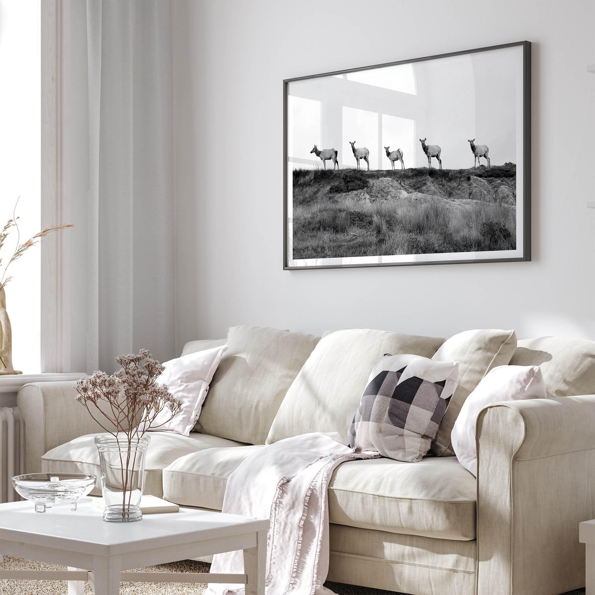 A black and white framed or unframed nature fine art photography print showing a family of coastal elks walking in a line on a ridge in Point Reyes, California. The composition forms a minimalist aesthetic print that will be a conversation starter.