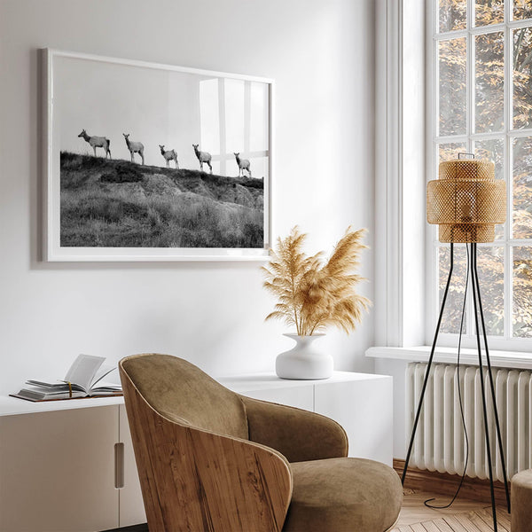 A black and white framed or unframed nature fine art photography print showing a family of coastal elks walking in a line on a ridge in Point Reyes, California. The composition forms a minimalist aesthetic print that will be a conversation starter.
