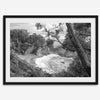 Black and white photo of McWay Falls flowing into the Pacific Ocean at Big Sur, California – fine art coastal print