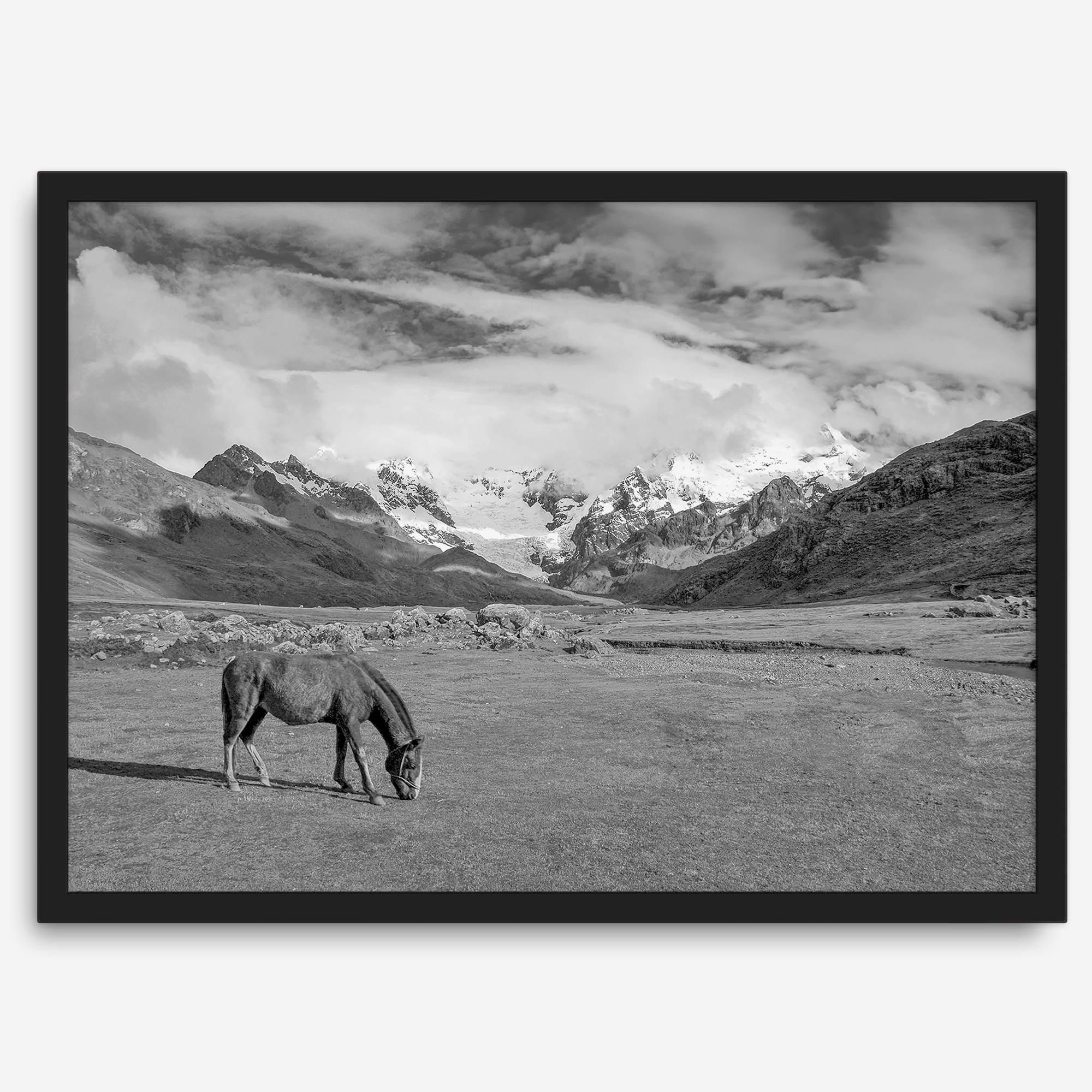 A black and white mountain horse fine art print that can come framed on unframed and was taken in Peru. This mountain wall art showcases snow-covered mountains in Peru and a charming horse grazing relaxingly in the forefront of the picture.
