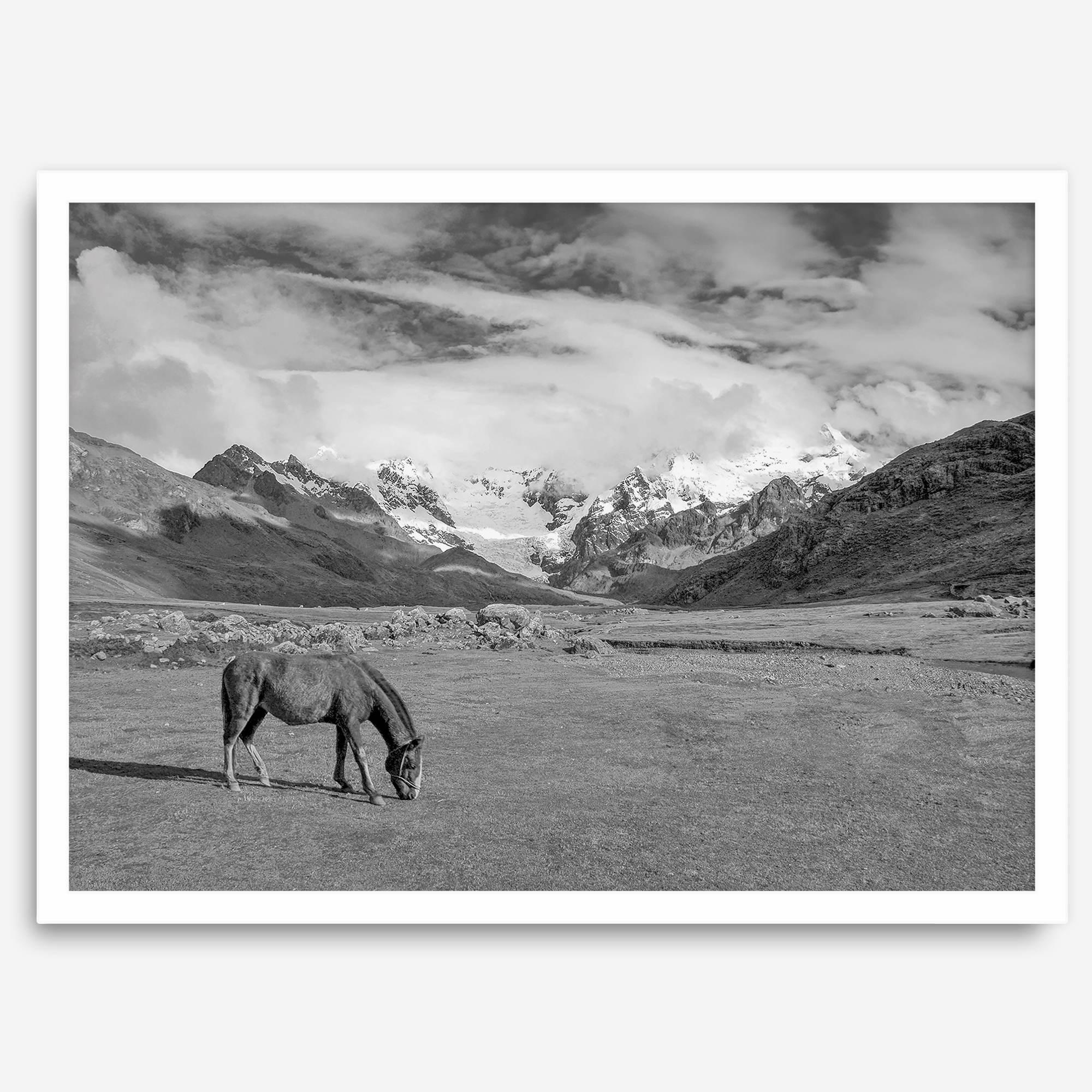A black and white mountain horse fine art print that can come framed on unframed and was taken in Peru. This mountain wall art showcases snow-covered mountains in Peru and a charming horse grazing relaxingly in the forefront of the picture.