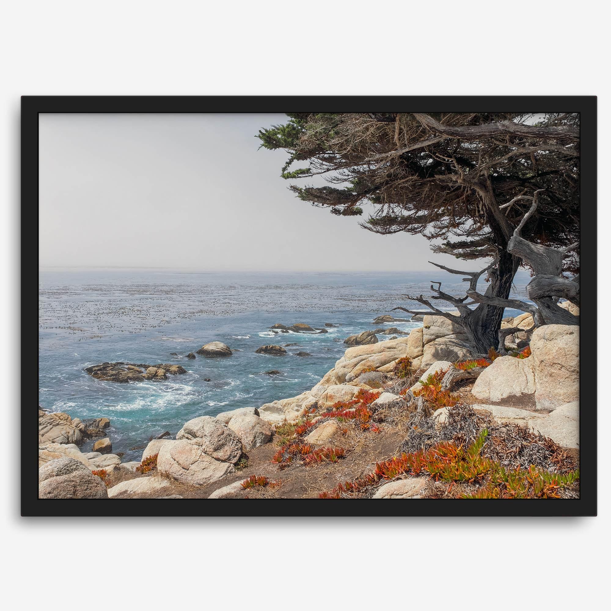 This stunning piece of art captures the beauty and drama of California's rugged coastline. This large framed or unframed ocean wall art showcases a large coastal tree overlooking the ocean near Monterey on Route 1.