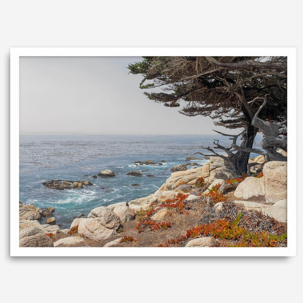 This stunning piece of art captures the beauty and drama of California's rugged coastline. This large framed or unframed ocean wall art showcases a large coastal tree overlooking the ocean near Monterey on Route 1.