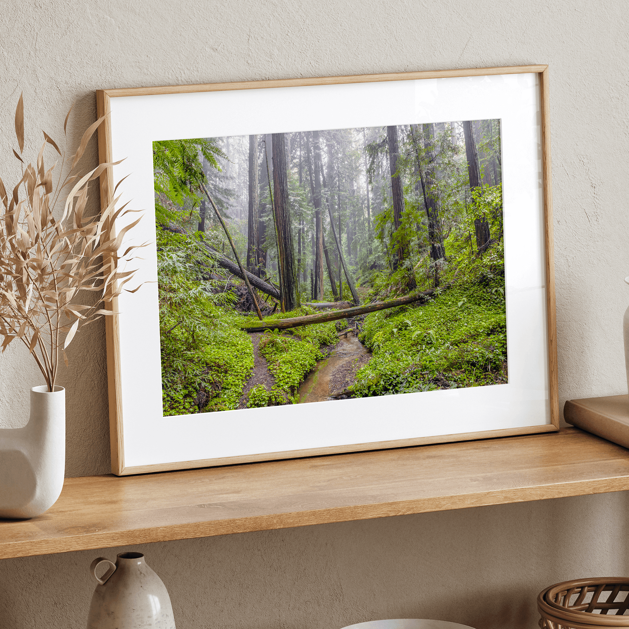 Lush green forest scene with tall redwoods and a small stream in Portola Redwoods State Park – fine art nature print