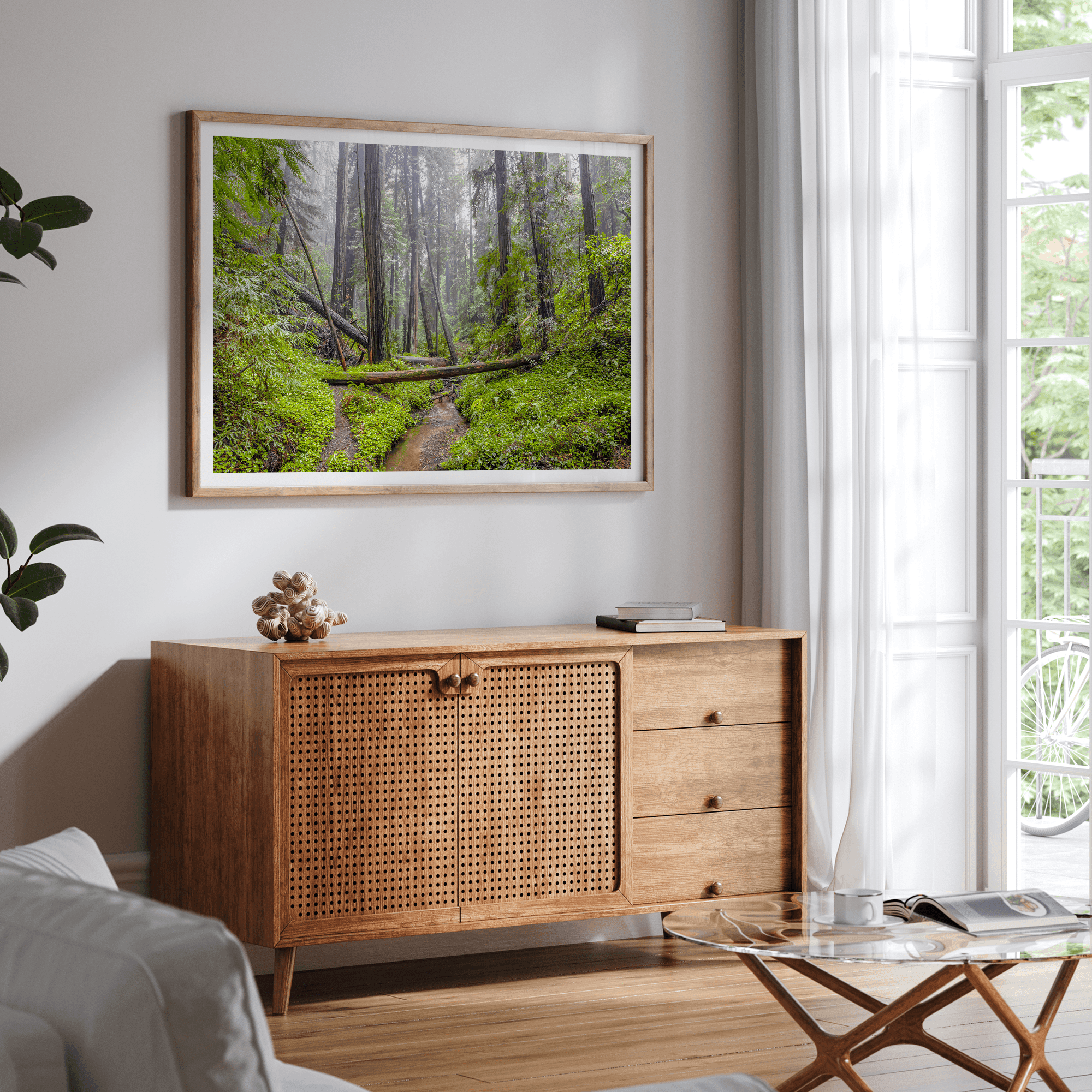 Lush green forest scene with tall redwoods and a small stream in Portola Redwoods State Park – fine art nature print