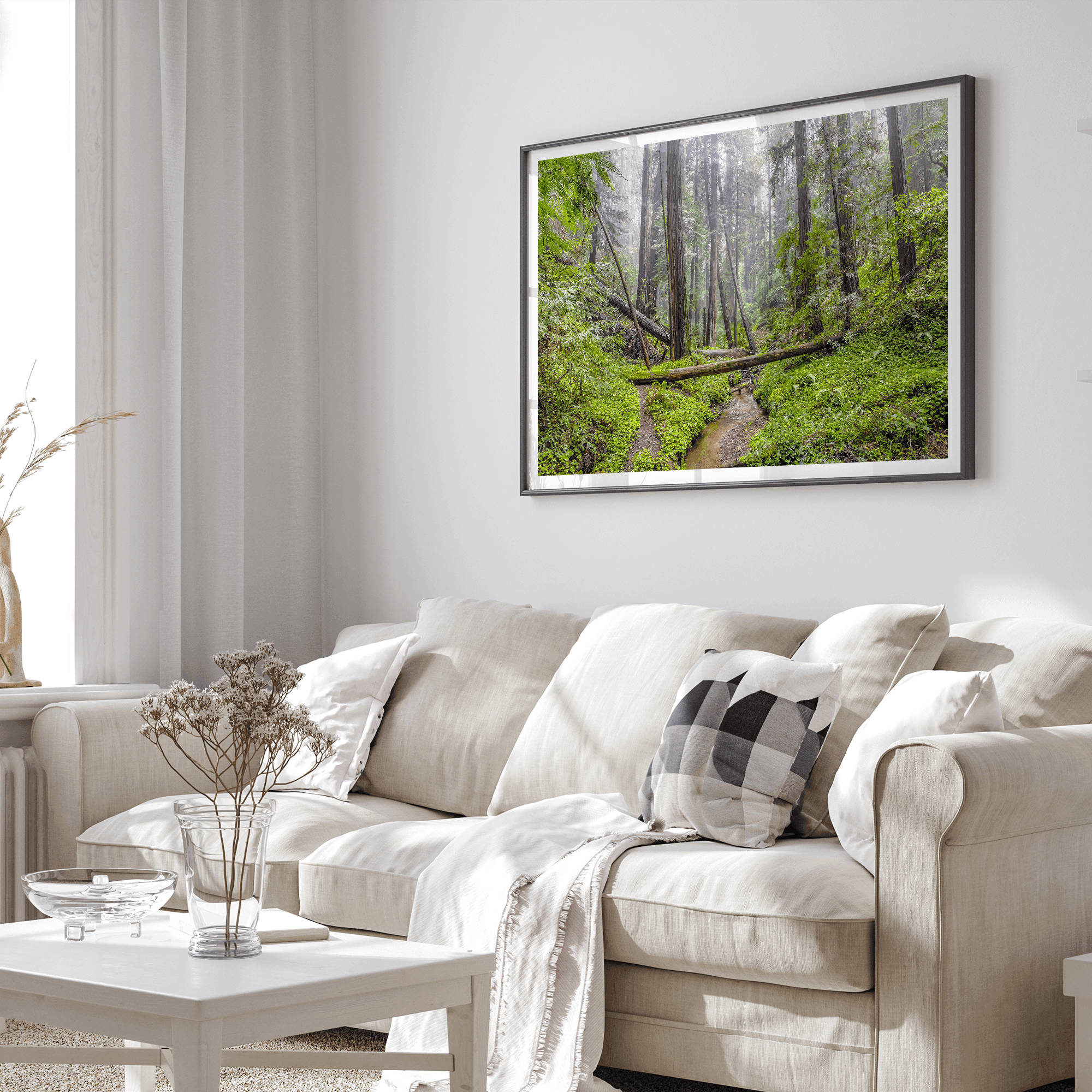 Lush green forest scene with tall redwoods and a small stream in Portola Redwoods State Park – fine art nature print