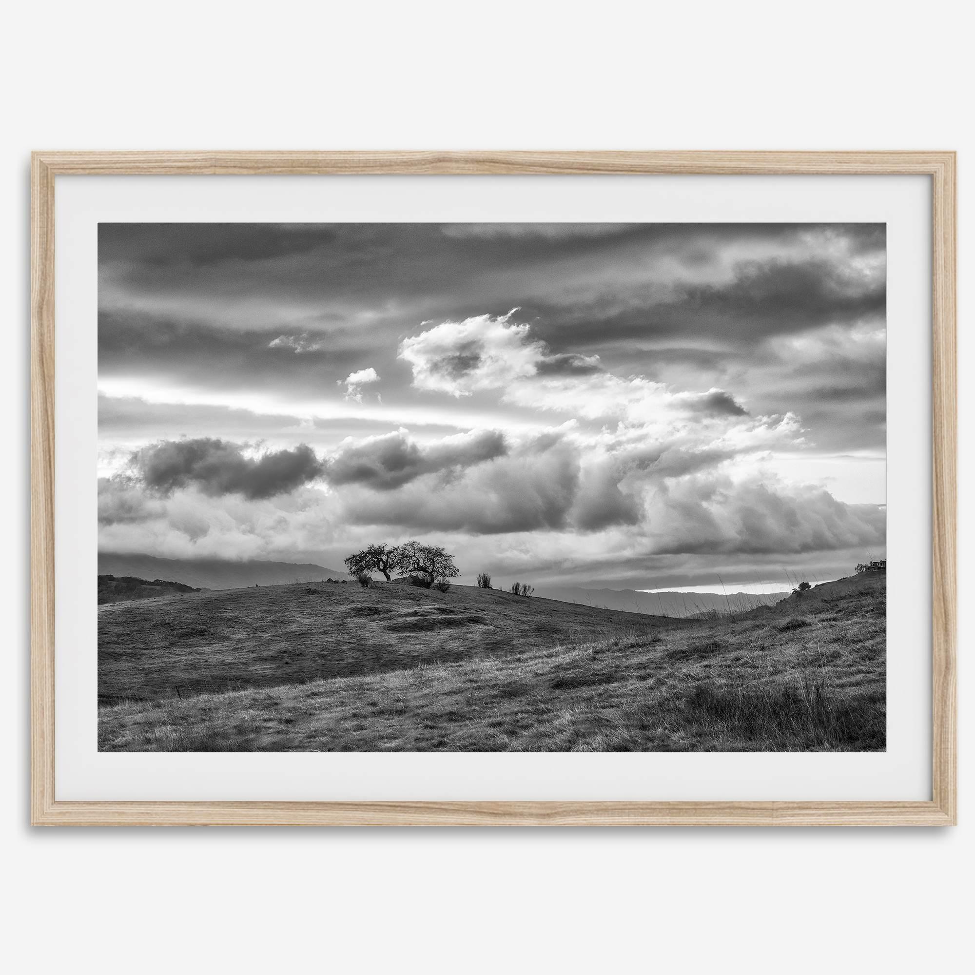 Moody landscape art of Sierra Vista Preserve with a lone tree and dramatic clouds in black and white.