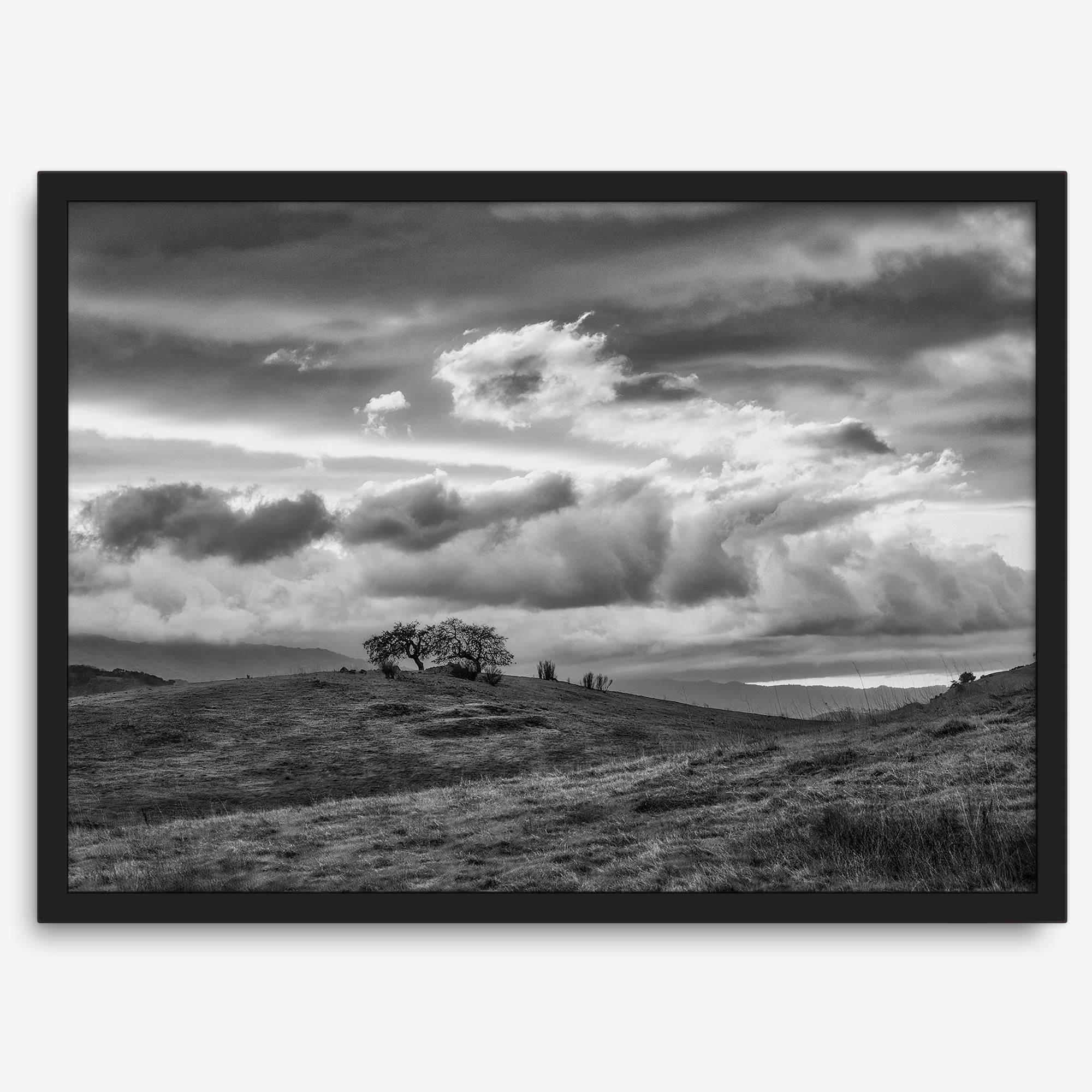 Moody landscape art of Sierra Vista Preserve with a lone tree and dramatic clouds in black and white.