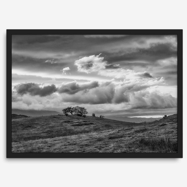 Moody landscape art of Sierra Vista Preserve with a lone tree and dramatic clouds in black and white.
