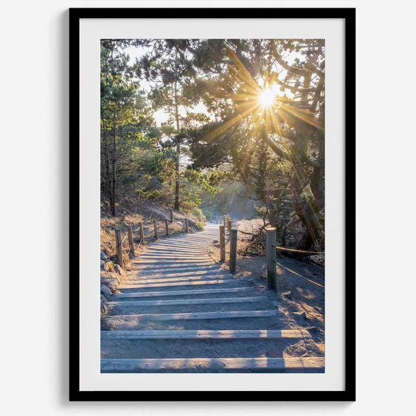 A fine art coastal forest sunset print from San Francisco Lands End. This wood path wall art comes framed or unframed.