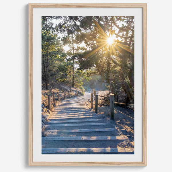 A fine art coastal forest sunset print from San Francisco Lands End. This wood path wall art comes framed or unframed.