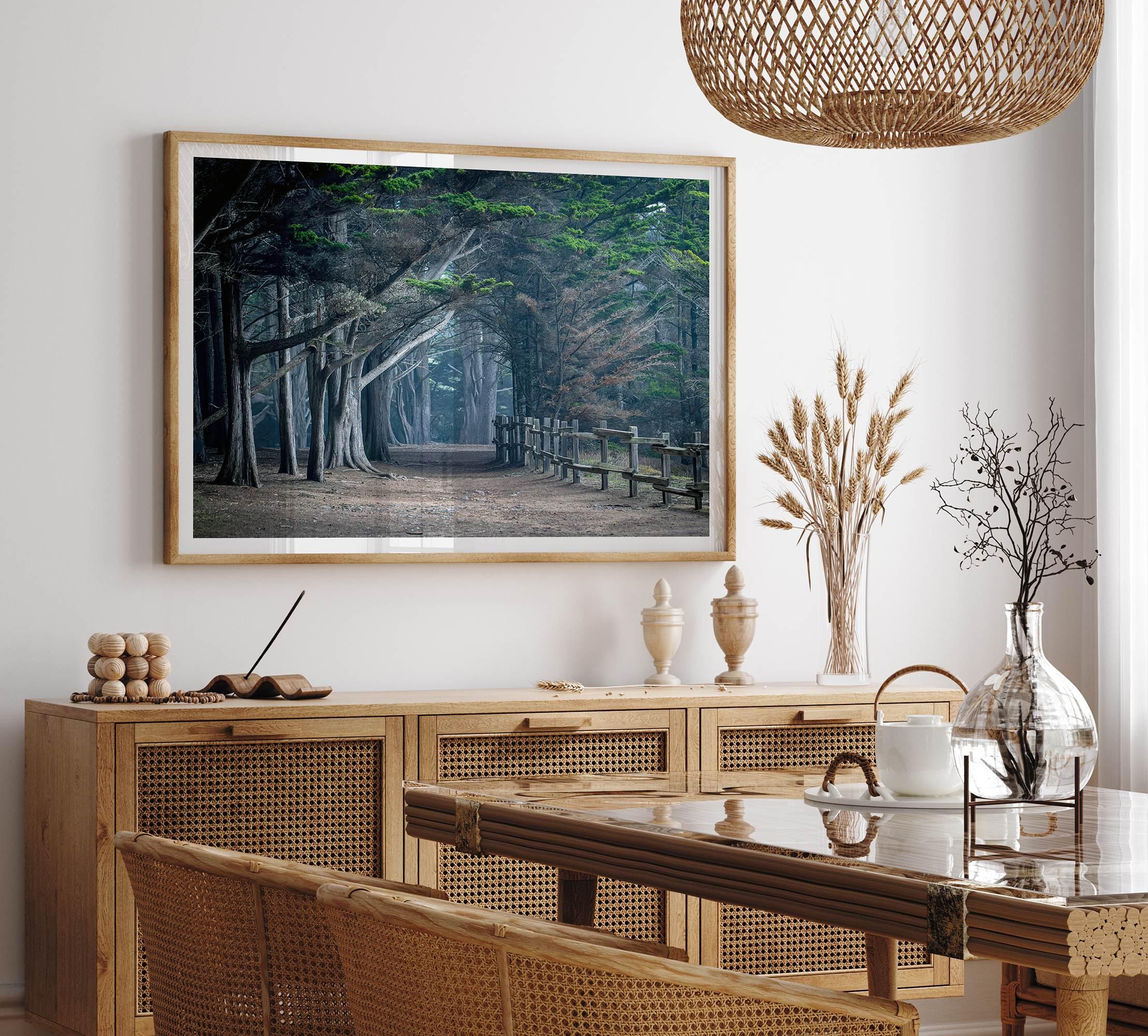 Cypress tree forest path in Seal Cove, California with misty light and rustic wooden fence