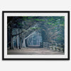 Cypress tree forest path in Seal Cove, California with misty light and rustic wooden fence