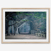 Cypress tree forest path in Seal Cove, California with misty light and rustic wooden fence