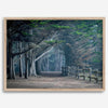 Cypress tree forest path in Seal Cove, California with misty light and rustic wooden fence