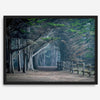Cypress tree forest path in Seal Cove, California with misty light and rustic wooden fence