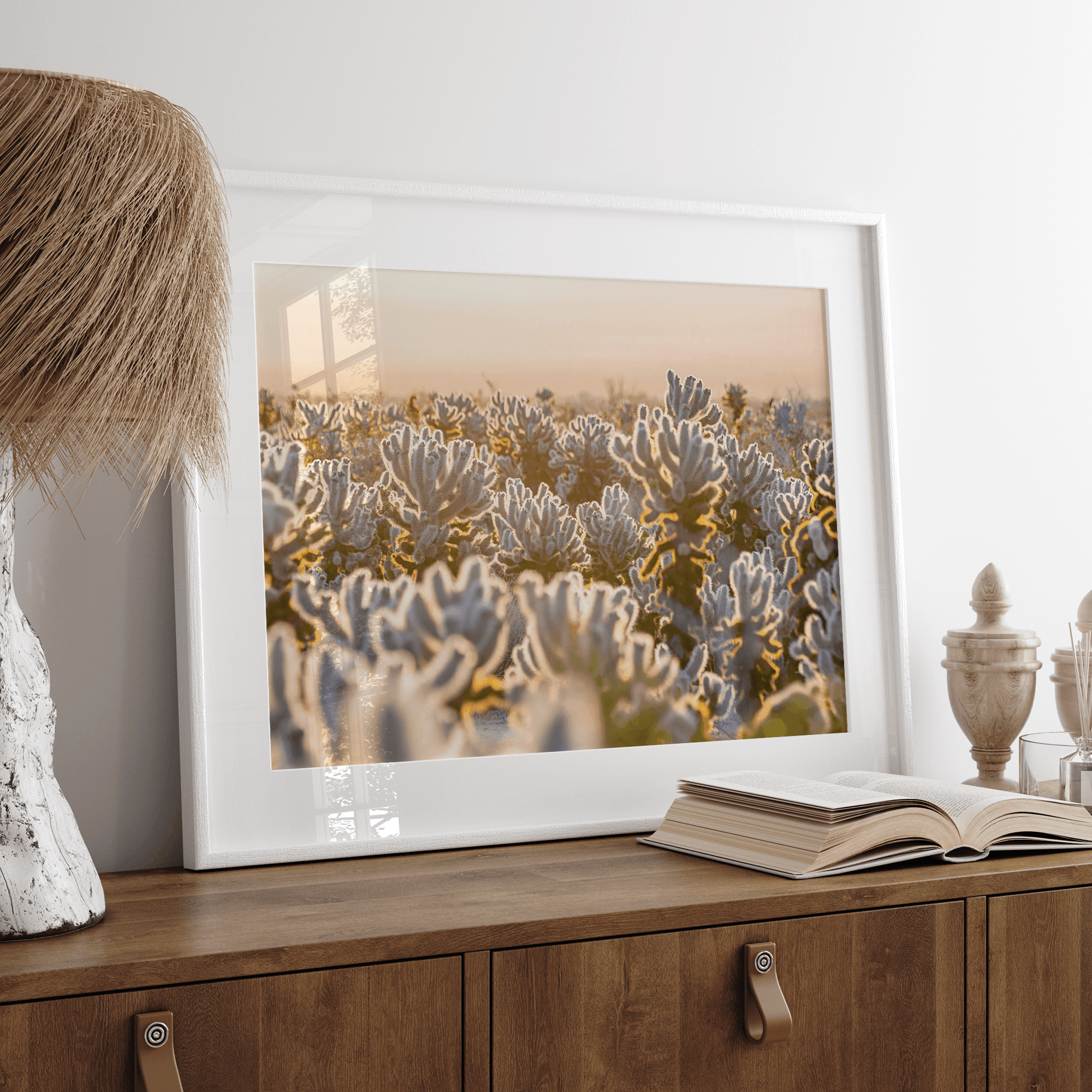 Sunset Cholla Cactus Garden fine art print from Joshua Tree National Park, featuring glowing cacti in golden light.