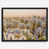 Sunset Cholla Cactus Garden fine art print from Joshua Tree National Park, featuring glowing cacti in golden light.