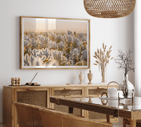 Sunset Cholla Cactus Garden fine art print from Joshua Tree National Park, featuring glowing cacti in golden light.