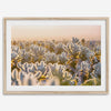 Sunset Cholla Cactus Garden fine art print from Joshua Tree National Park, featuring glowing cacti in golden light.
