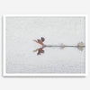 A fine art minimalist wildlife photography print showcasing a bird flying over a lake in Arizona.