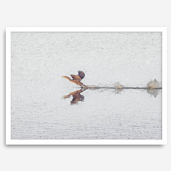 A fine art minimalist wildlife photography print showcasing a bird flying over a lake in Arizona.