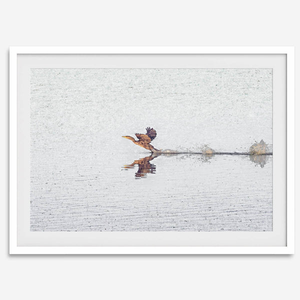 A fine art minimalist wildlife photography print showcasing a bird flying over a lake in Arizona.